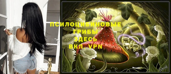 метамфетамин Ельня