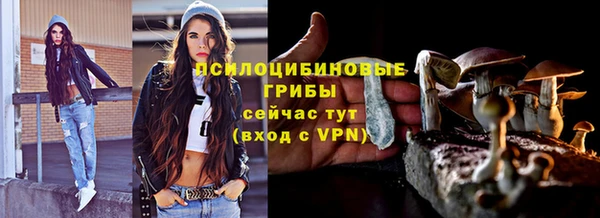 стаф Елизово