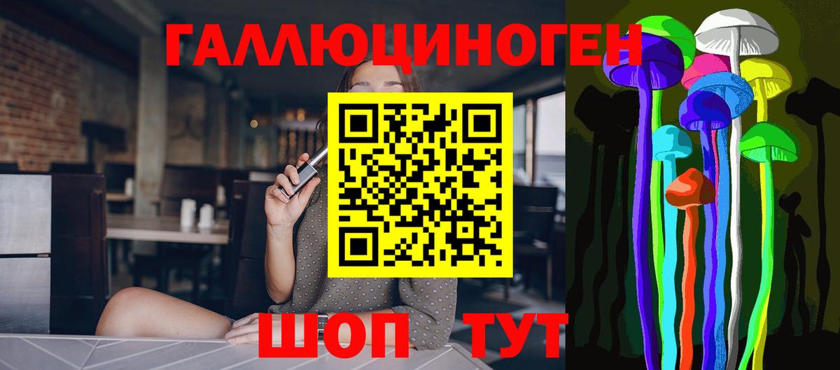 Галлюциногенные грибы Psilocybe Ессентуки
