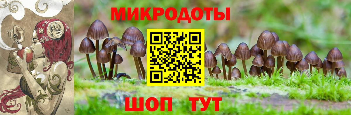 Ессентуки  закладка  Вход с VPN  Псилоцибиновые грибы GOLDEN TEACHER 