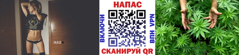 Шишки марихуана LSD WEED  продажа наркотиков  Ессентуки 